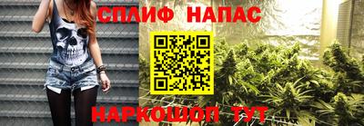 шишки Пушкино