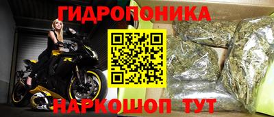 2c-b Пугачёв